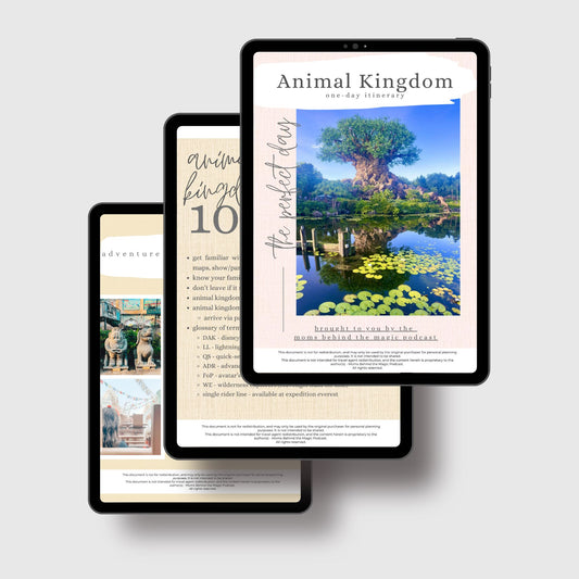 Animal Kingdom Itinerary