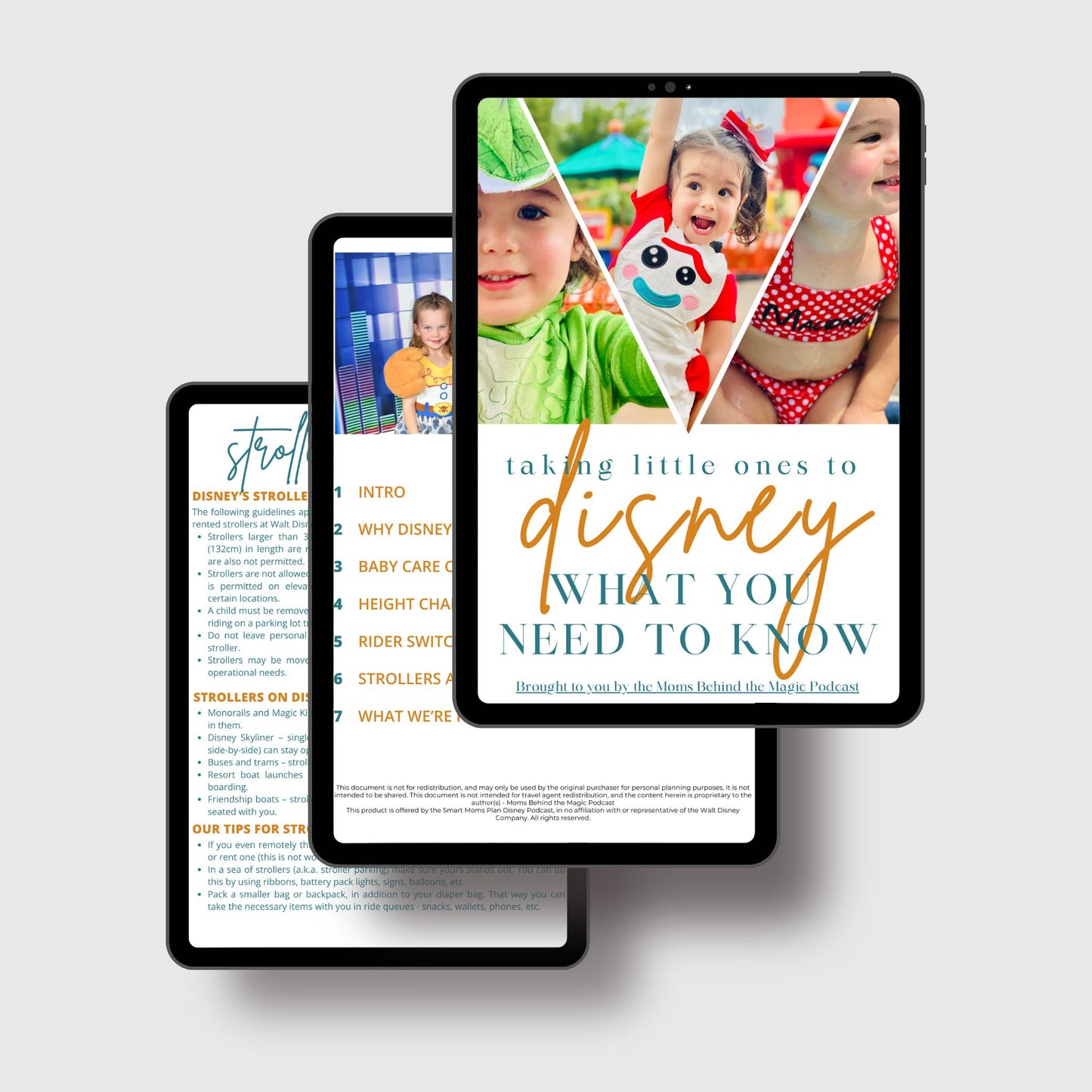 Taking Little Ones to Disney Guide