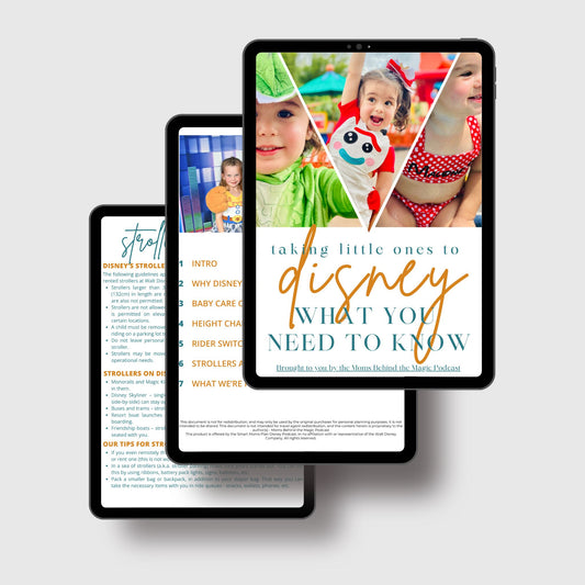 Taking Little Ones to Disney Guide