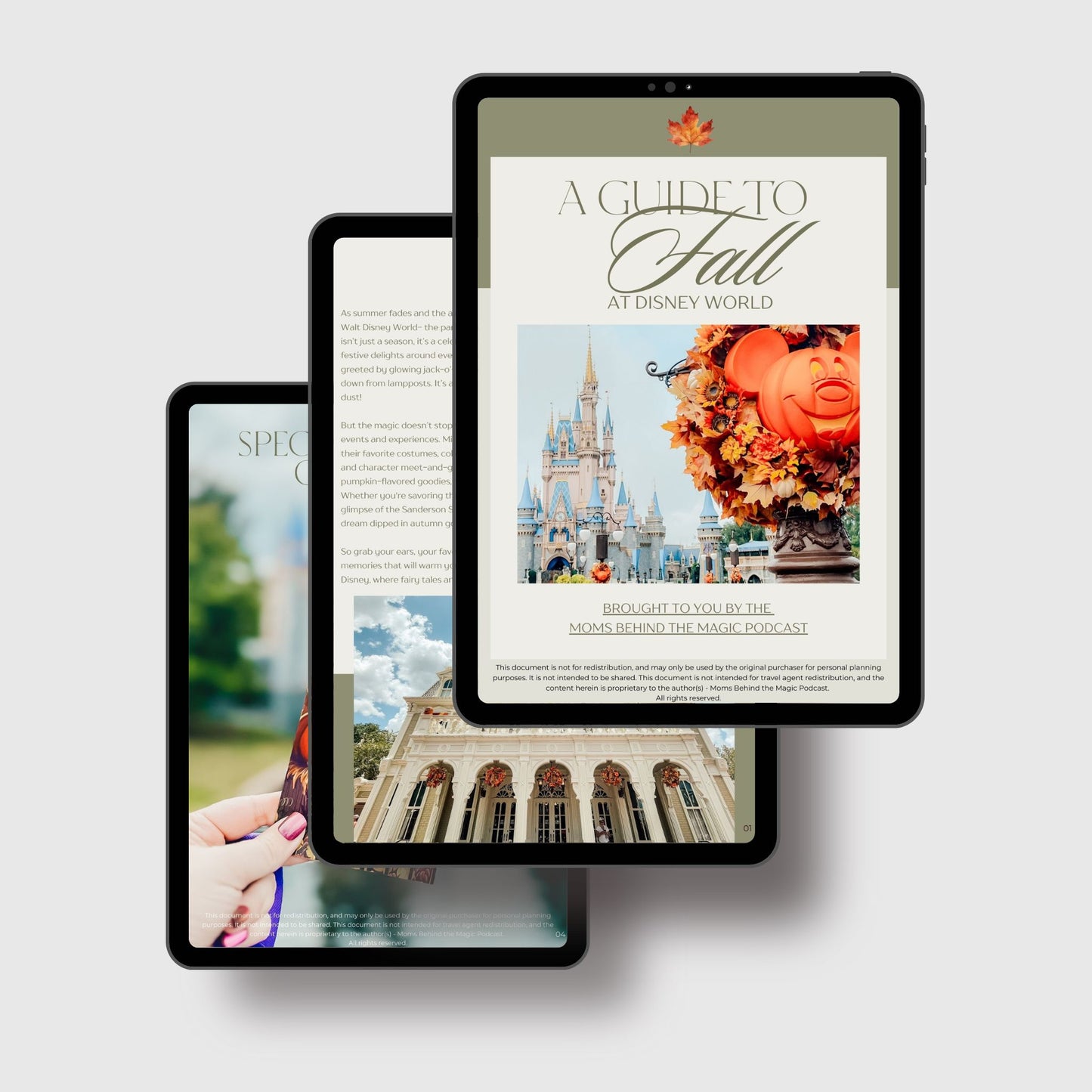 Planning Disney World in the Fall