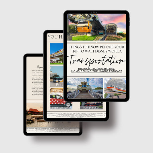 Disney Transportation