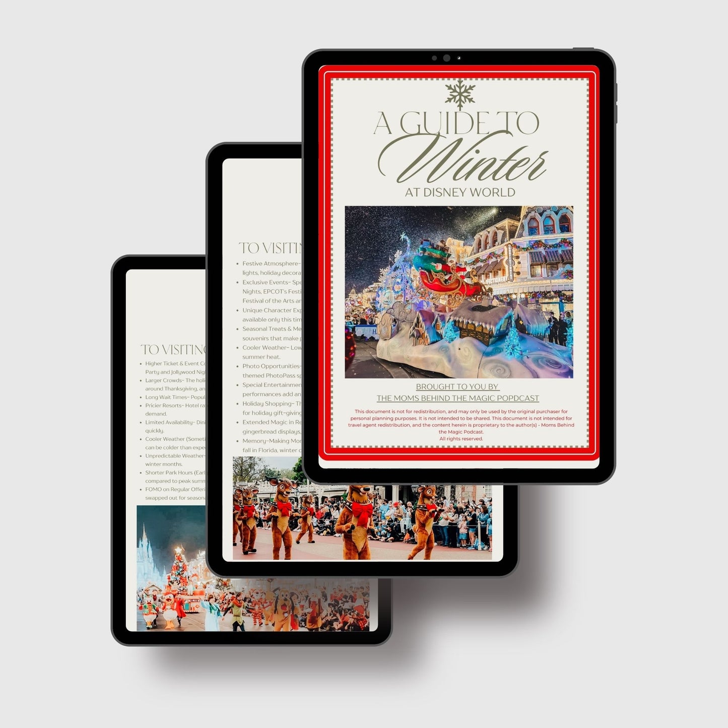 Planning Disney World in the Winter