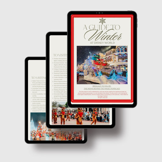 Planning Disney World in the Winter